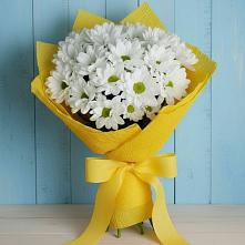 Букет цветов из:  Хризантемы #REPLACE_PRED# Светлограде