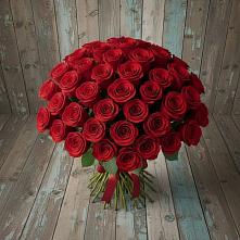 Букет 55 Красных роз Фридом #REPLACE_PRED# Светлограде