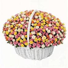 Премиум букет из: Розы #REPLACE_PRED# Светлограде