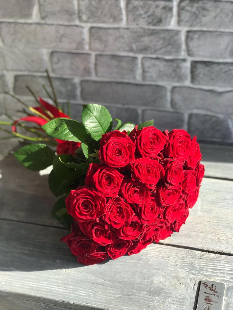 Букет Красные розы Фридом в Светлограде