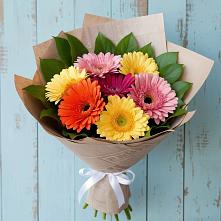 Букет цветов из:  Герберы в Светлограде