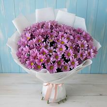 Букет цветов из:  Хризантемы в Светлограде