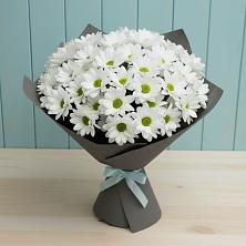 Букет цветов из:  Хризантемы в Светлограде