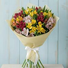Букет цветов из:  Альстромерии #REPLACE_PRED# Светлограде