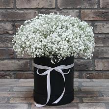 Цветочная композиция из Гипсофила в шляпной коробке в Светлограде